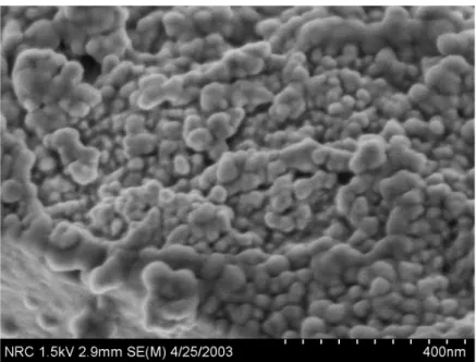 Figure 3. Nanoparticulate Monocalcium Aluminate Synthesised using “Chimie Douce” methods  ALKALI AGGREGATE REACTION 