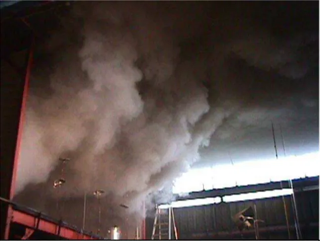 Figure 4. Hot smoke filling upper portion of  simulated mall.