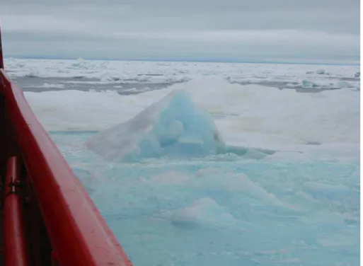 Figure 13:  Ice regime with 6/10 TFY, 4/10 SY ice observed from the Terry Fox. 