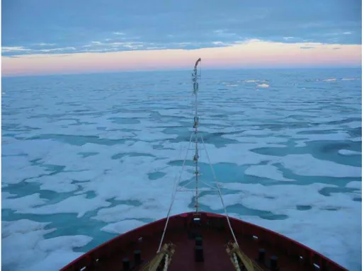 Figure 14:  Ice regime with 1/10 FY, 2/10 MFY, 4/10 TFY, 3/10 SY ice observed  from the Terry Fox