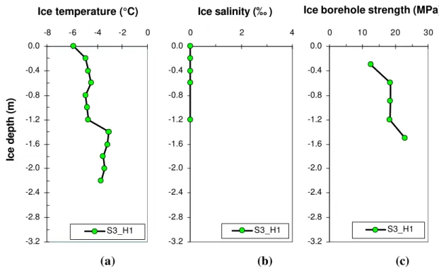 Figure 9  Depth-profiles of Ice Island fragment at Site 3 