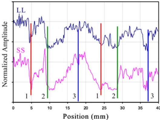 FIGURE 8.  LUSM profiles of L and S waves for inspection on cracking surface. 