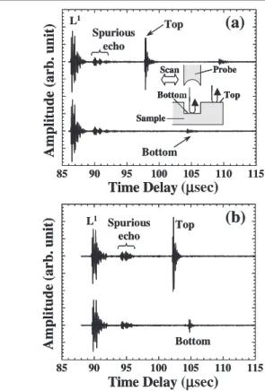 Figure 2. Reflected signals from the rod and the sample in water at room temperature (a) and in molten Mg at 690 ◦ C (b).