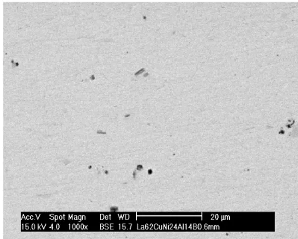 Fig. 9 (c).  SEM Pictures of L62 alloys prepared by Bridgman solidification  with growth rate of 0.6 mm/s