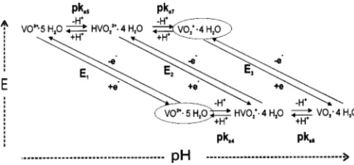 Figure 7. Schematic of the possible reaction pathways between VO 21 and VO 2 1 with the individual steps labeled.