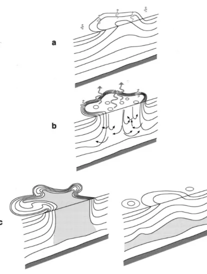 Figure 2.1: A schematic diagram of the three phases of open-ocean convection: (a) precondition,  (b) deep convection, (c) lateral exchange and spreading