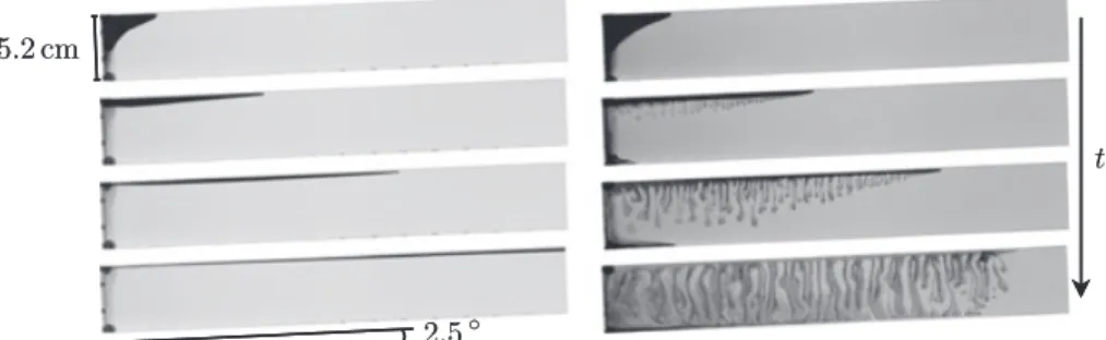 Figure 1. Convective dissolution arrests the up-slope migration of a buoyant current. Here we show snapshots of two buoyant currents migrating up-slope in a sloping aquifer (a Hele-Shaw cell for illustration)