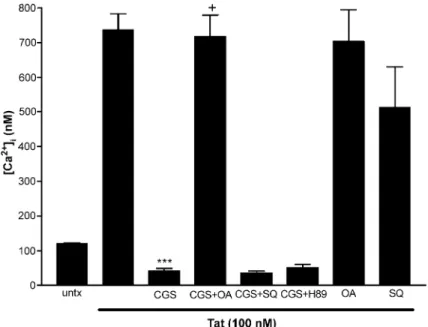 Fig. 2. A 2A receptor activation blocked Tat-induced increases of [Ca 2+ ] i by mechanism(s) dependent on protein phosphatase activation and independent of cAMP and PKA