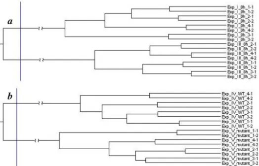 Fig. 4. Hierarchical clustering of RA (a) and RB (b). See text for details. The vertical lines on the left locate the separating branches in the tree for the two clusters.