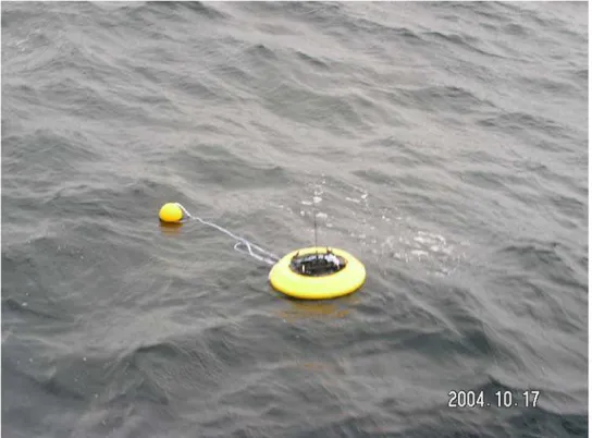 Figure 9: Neptune Directional Wave Buoy 