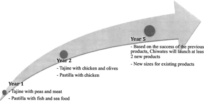 Figure 3:  Product launch schedule