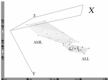 Fig. 2. Snapshot of the Virtual Reality representation of the original data (with  selected genes {X95735_at, D26308_at, D21063_at, M27891_at})