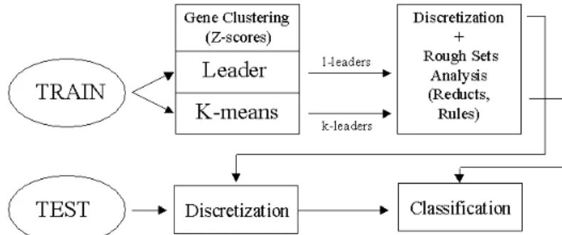 Fig. 1. Data processing strategy combining clustering with Rough Sets analysis. 