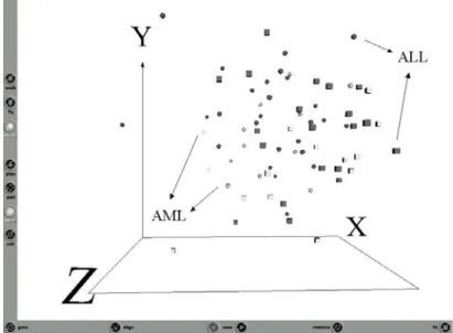 Fig. 2. Snapshot of the Virtual Reality representation of the original data  (training set with 38 samples + test set with 34, both with 7129 genes)