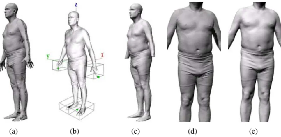 Figure 3: Hole-filling of the CAESAR models. (a) Original model. (b) Segmentation of the hands and the feet of a human model