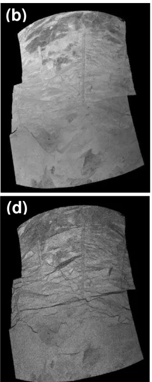 Figure 6. (a) Before alignment: data from 2 images. (b) After alignment: solid polygon model  combining data from both files