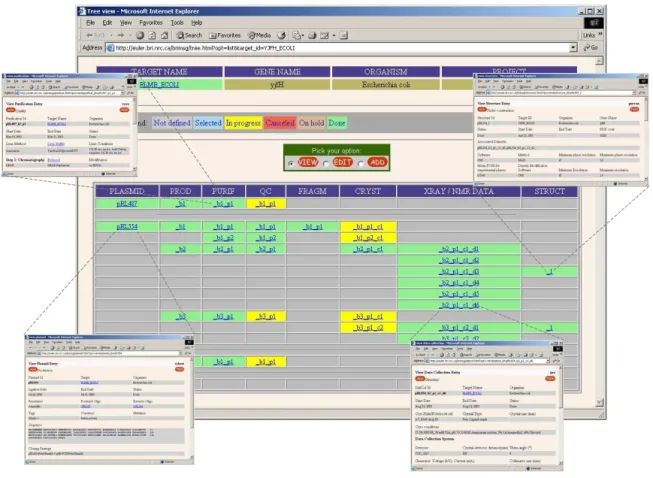 Figure 4 Tree view