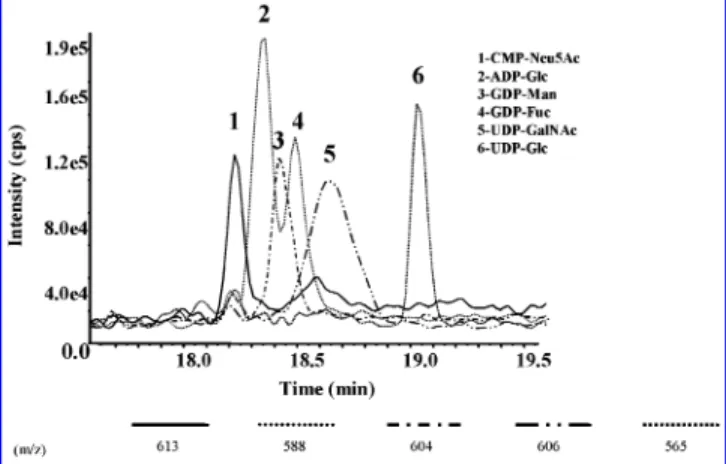 Figure 6 . CE - ESMS using HEPES stacking buffer. Reconstructed ion electropherograms are shown for six sugar nucleotide standards (each between 45 and 49 nM)