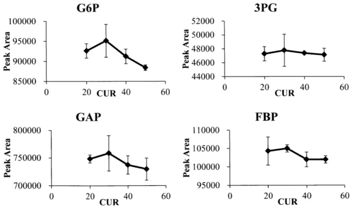 Figure  2-1  Curtain  Gas  (CUR)  optimization