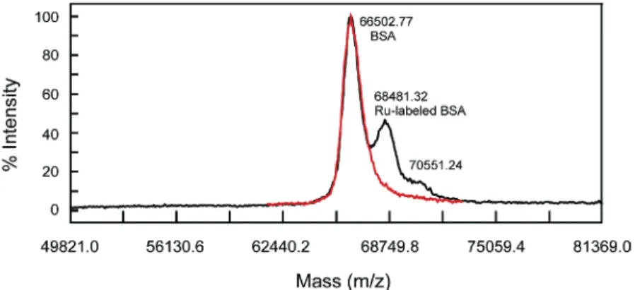 Figure 7 . MALDI-TOF mass spectra of Ru-labeled BSA mixed with excess BSA (black) and pristine BSA (red)