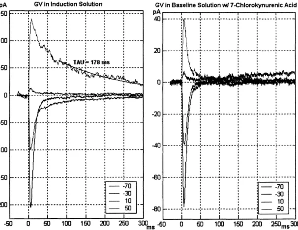 Figure  8:  Change  of  synaptic  response  when  immersed  in  induction-solution(left) and  in  baseline-solution  with  7-Chlorokynurenic  Acid  (right)