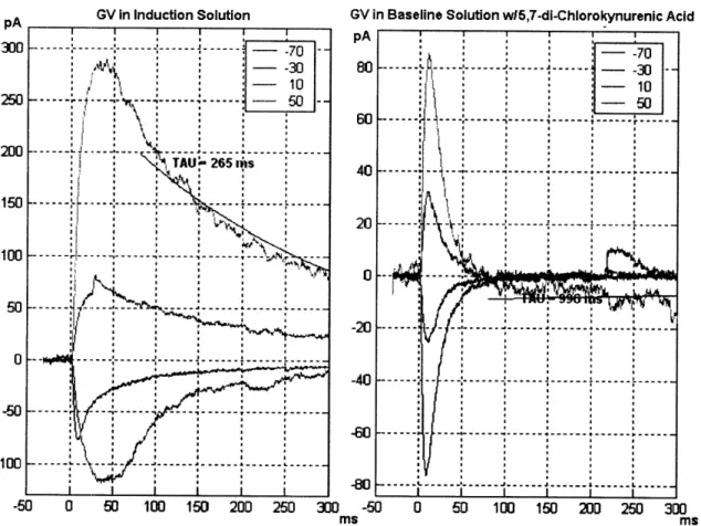Figure  9:  Change  of synaptic  response  when  immersed  in induction-solution(left)  and in  baseline-solution  with  5,7-Di-Chlorokynurenic  Acid  (right)