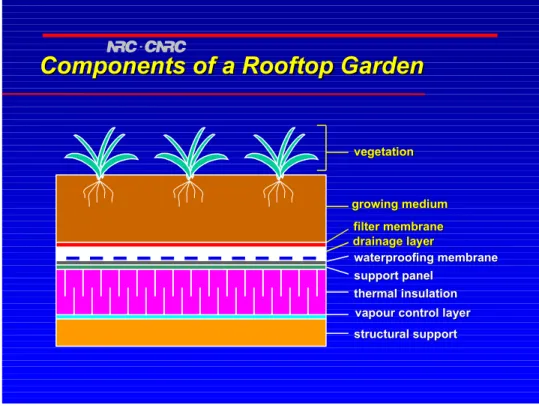 Figure 3.1: Structure of the rooftop garden in the pilot study site in Ottawa 