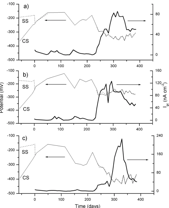 Figure 10. Galvanic coupling potentials and current densities measured in concrete specimens coupled by CS in 1.5% Cl -  with SSs in 3.5% Cl - : a) 2205; b) 304LN; c) 316LN.