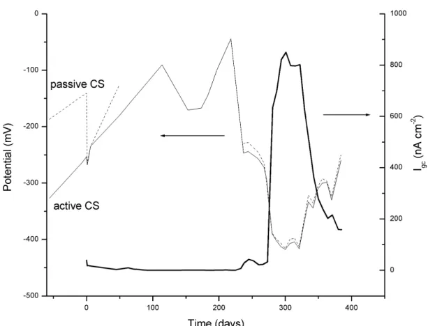 Figure 11. Galvanic coupling potentials and current densities measured in concrete specimens coupled by CS in 1.5% Cl -  with passive CS in chloride free environment.