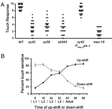 Fig. 1. ALR-1 is necessary for touch sensation, and it is needed in all stages of larval development for adult touch sensation