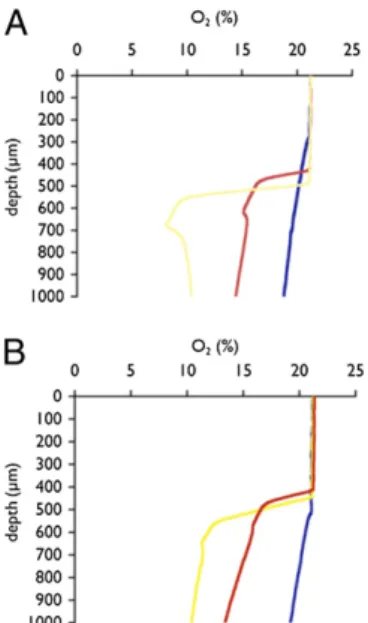 Fig. 4. Oxygen concentration measurements of WT and mucD P. aerugi- aerugi-nosa PA14 lawns