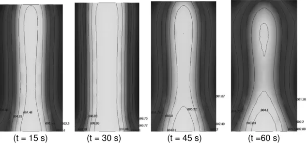 Figure 4.  Two-dimensional slices of the temperature evolution in the 150 mm x  76 mm semi-solid slug produced with the SEED process