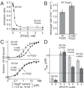Fig. 3. PDZ1 – PDZ2 ′ interactions enhance substrate binding. (A) Donor and acceptor dye-labeled DegP* S210A or DegP* S210A/Y444A (1 μ M total monomer equivalent) were mixed with 18 – 58 (20 μ M) in the presence of different concentrations of the isolated 