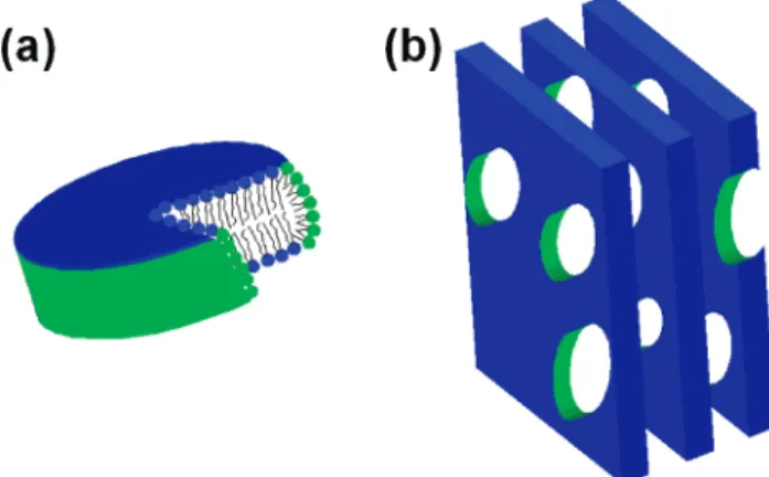 Figure 1. (a) Schematic drawing of a bilayered micelle or so- so-called bicelle composed of DMPC and DHPC lipid molecules.