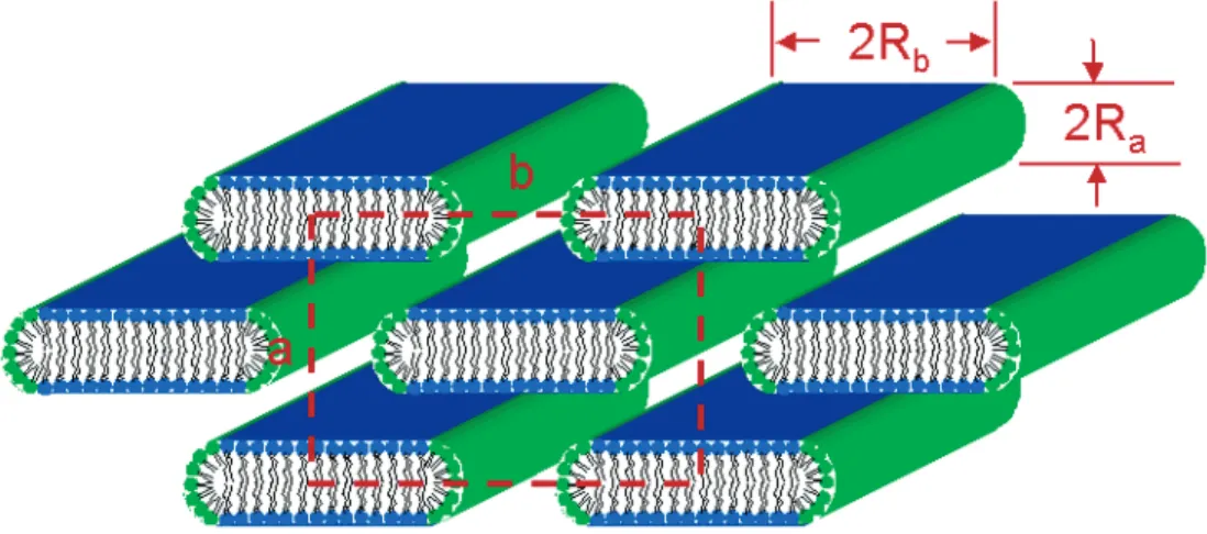 Figure 4. (a) 2D diffraction pattern, obtained at 40 °C via a rapid increase in temperature, showing the distinct X-pattern and weak satellite reflections (indicated by the white × symbols)