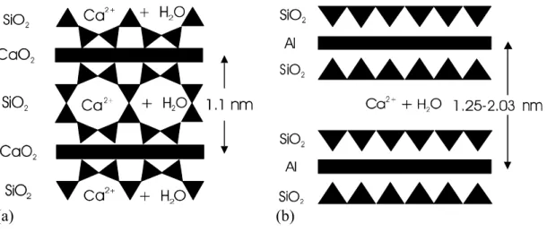 Figure 1   Diagrams depicting the idealized structures of (a) 1.1 nm Tobermorite  and (b) Ca-Montmorillonite 