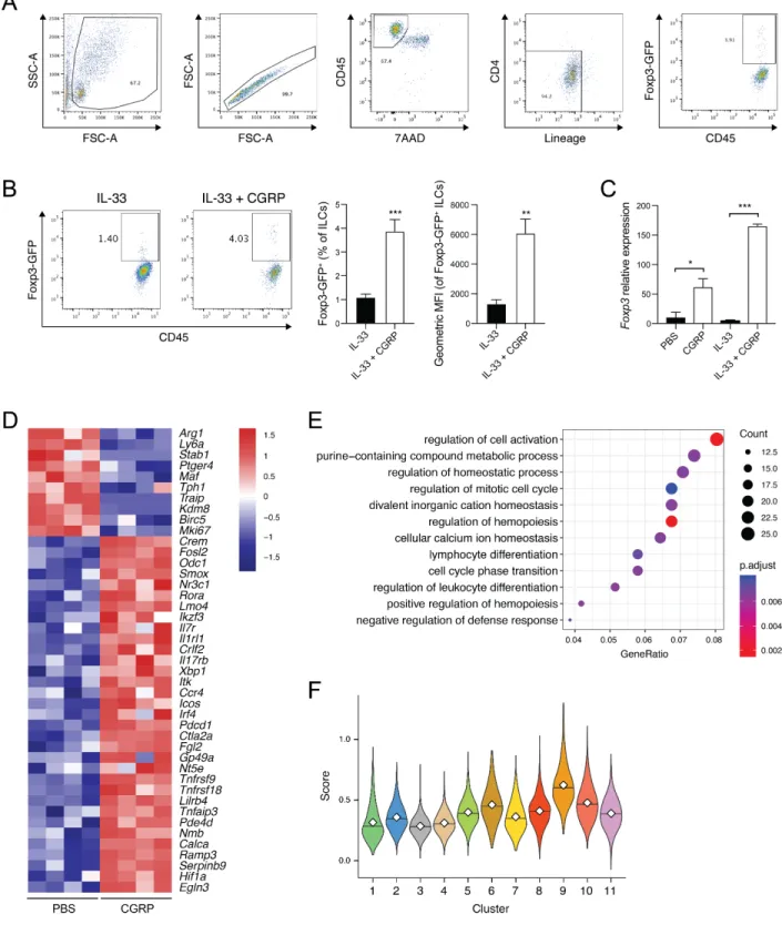 Figure S5. CGRP modulates ILC activation and induces a regulatory gene module. Related to  Figure 3