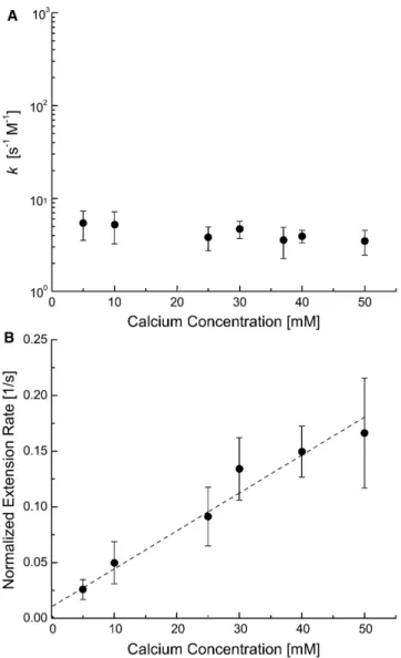 FIGURE 3 (A) Rate constant k calculated using a noncooperative, constant rate CaM-Ca 2þ binding mechanism