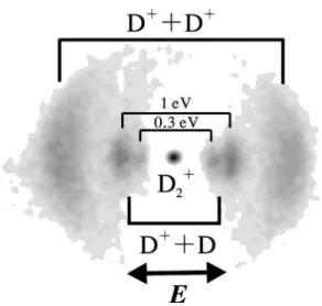 Figure 2 shows kinetic-energy distributions of D 1 ions obtained by angularly integrating the signals from images such as that in Fig
