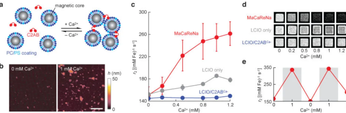 Figure 1. Design and in vitro characterization of MaCaReNas
