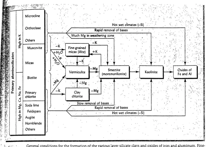 Figure 5.  The  formation  of clays  and oxides  of iron  and  aluminum  by the  weathering  of bedrock.