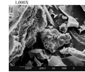 Figure 4  Scanning Electron Micrograph of gel-structured CA calcined at 600ºC 