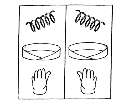 Figure  1-1:  Handed  objects  and  their  mirror  images