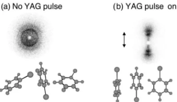 FIG. 9. Ion images of I 1 recorded when iodobenzene is irra- irra-diated by a circularly polarized, 100-fs, 8 3 10 13 -W/cm 2 , 800-nm pulse