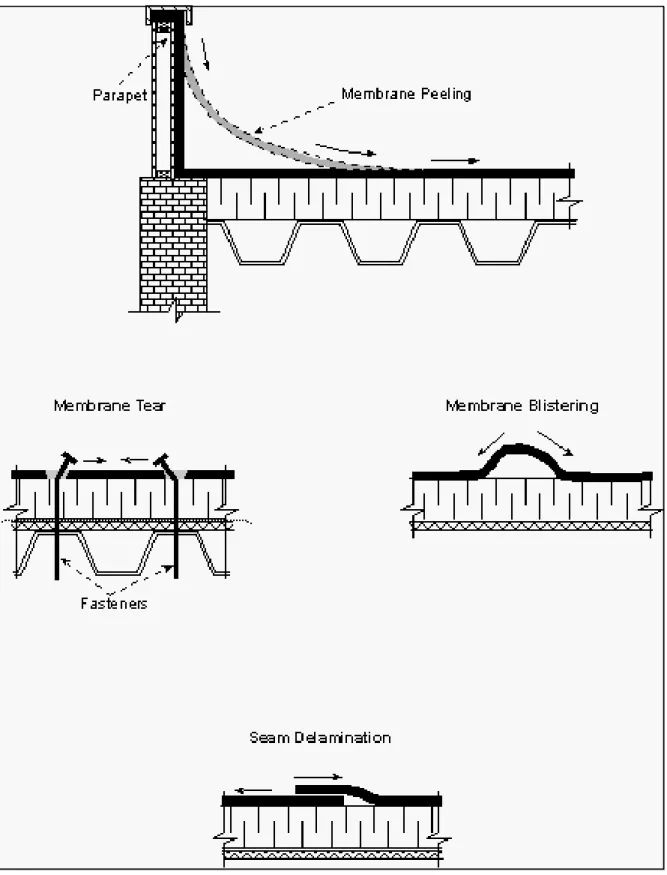 Figure 1: Influence of thermally induced loads on the performance of roofing assemblies