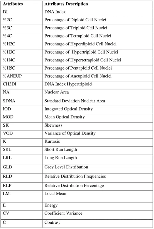 Table 2. Classification attributes used by PROCFTN procedure. 