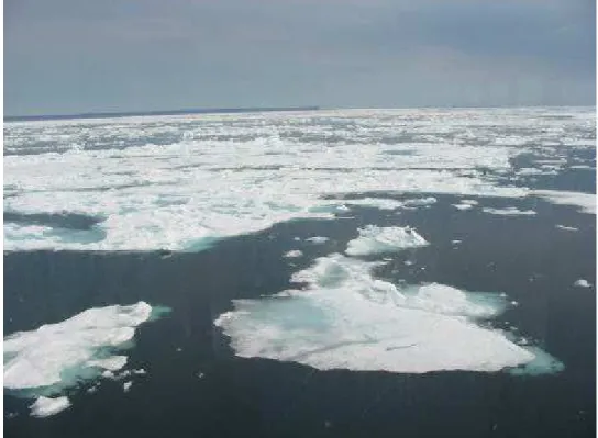 Figure 16:  Ice regime with ridged and decayed 2/10 MFY &amp; 4/10 TFY ice  observed from the Terry Fox