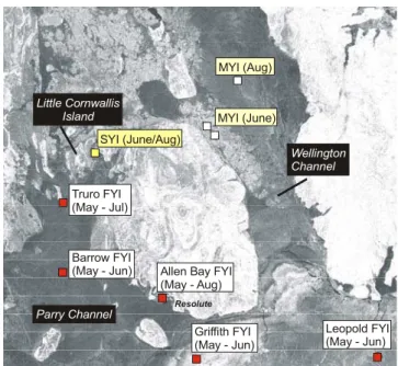 Figure 9: First-year ice sites sampled during 2002 season (January 2002 RADARSAT  image courtesy of CIS) 