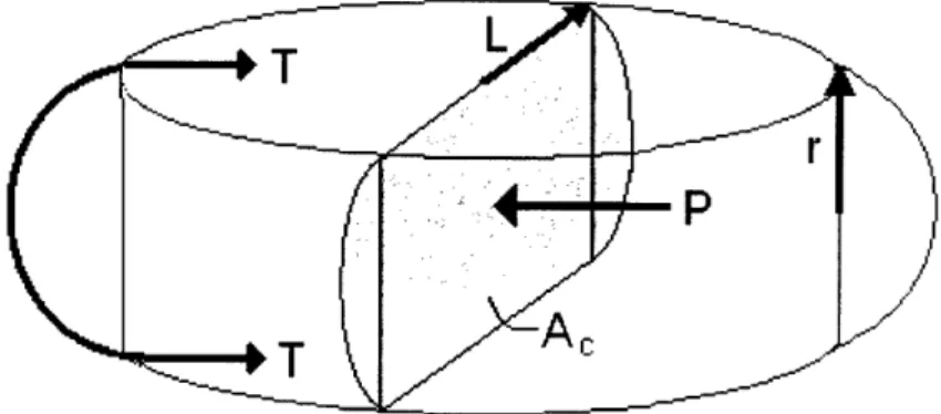 Figure 3.2:  Force diagram of compressed balloon.