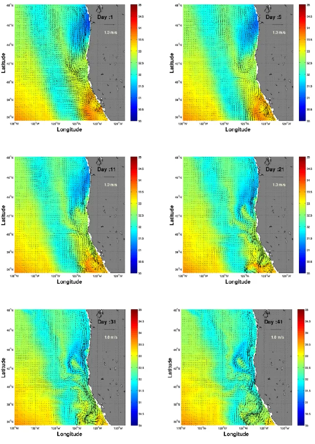 Figure 14. Evolution of 40 days of salinity and velocity fields at surface. 